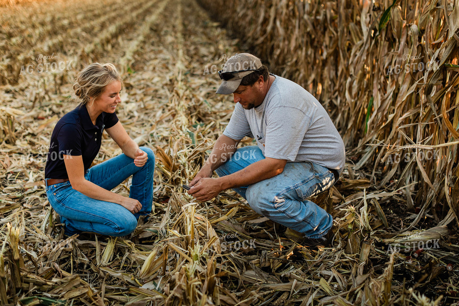 Farmer and Agronomist Using Phone in Field 8288