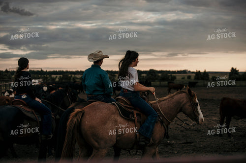 Feedyard 3099