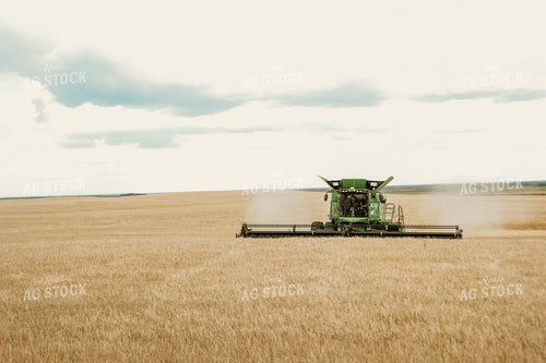 Combine Threshing Wheat 64088