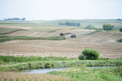 Corn Harvest 193123