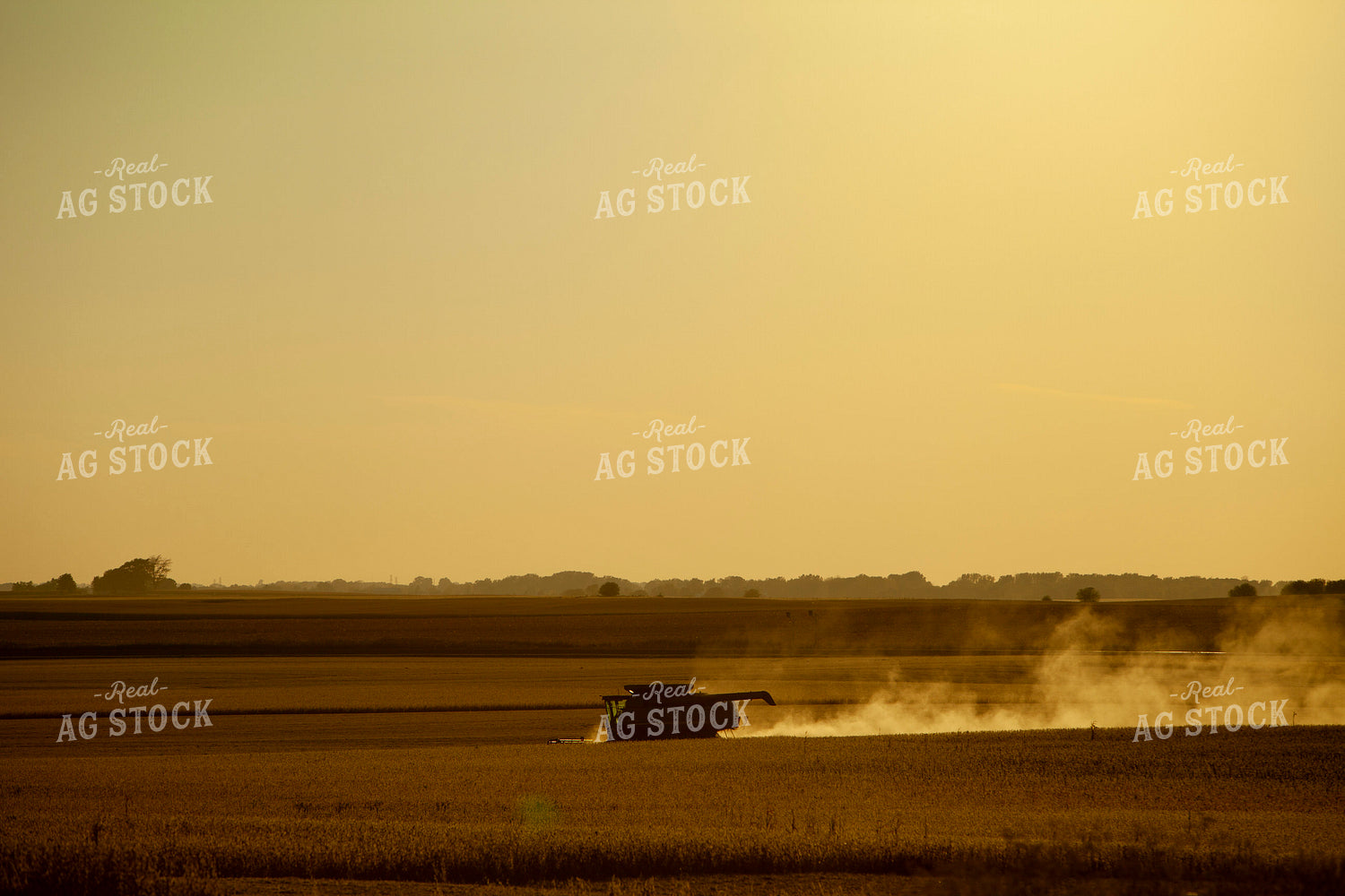 Harvest 1795