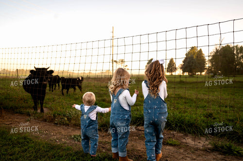 Farm Kids Looking at Cattle 115563