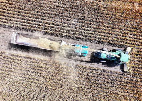 Aerial of Silage Harvest 141768