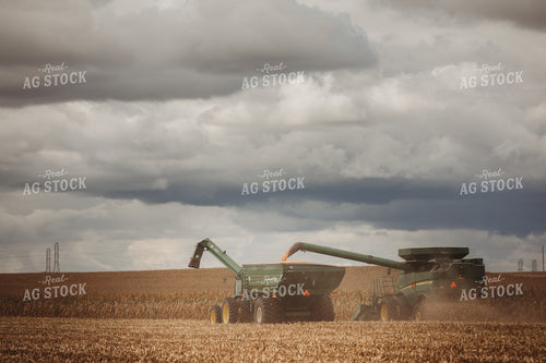 Combine Harvesting Corn and Unloading On the Go onto Auger Wagon 3350