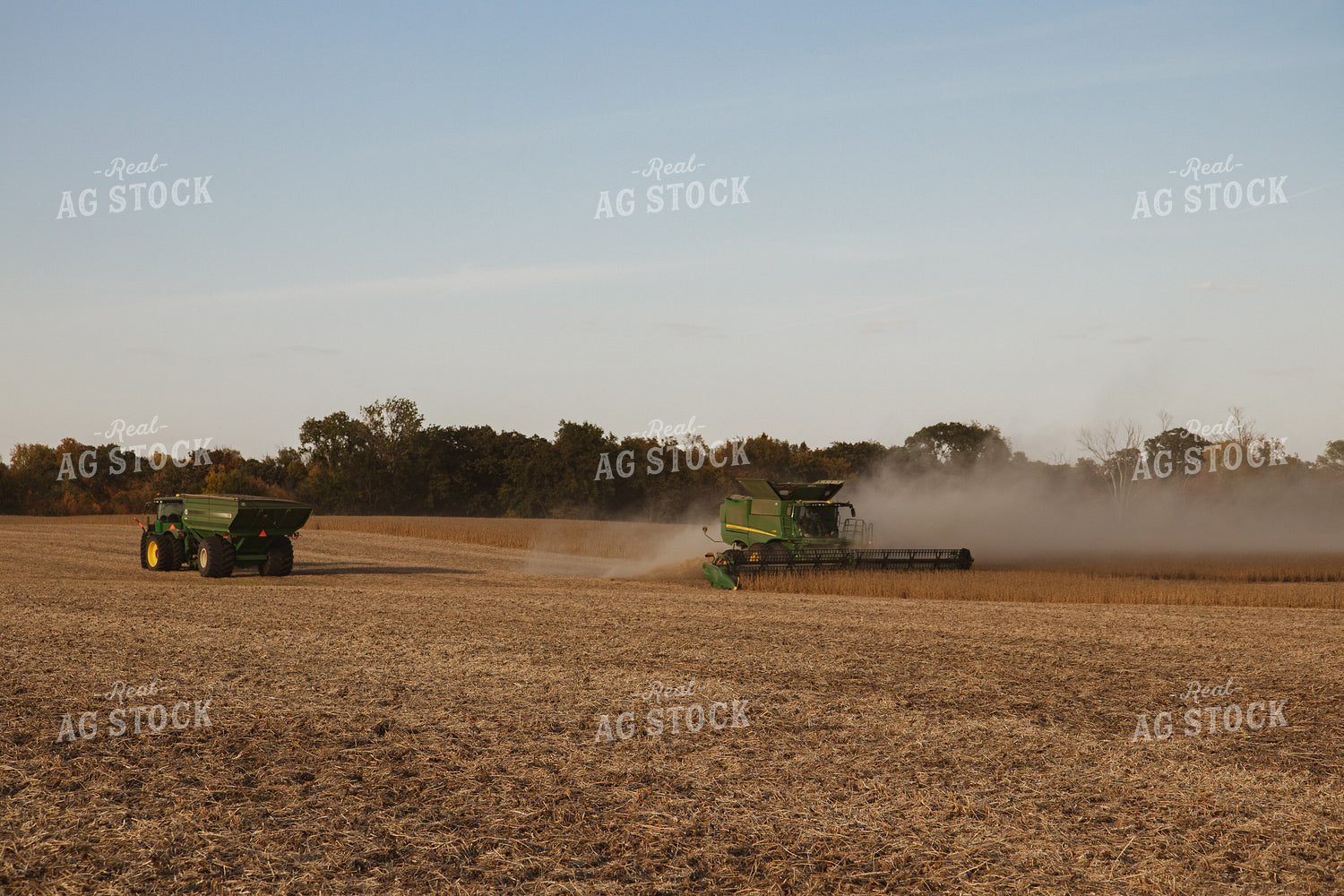 Soybean Harvest 67264