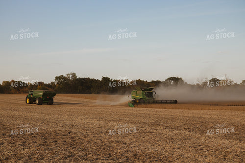 Soybean Harvest 67264