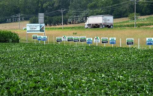 Soybean Plot 154033
