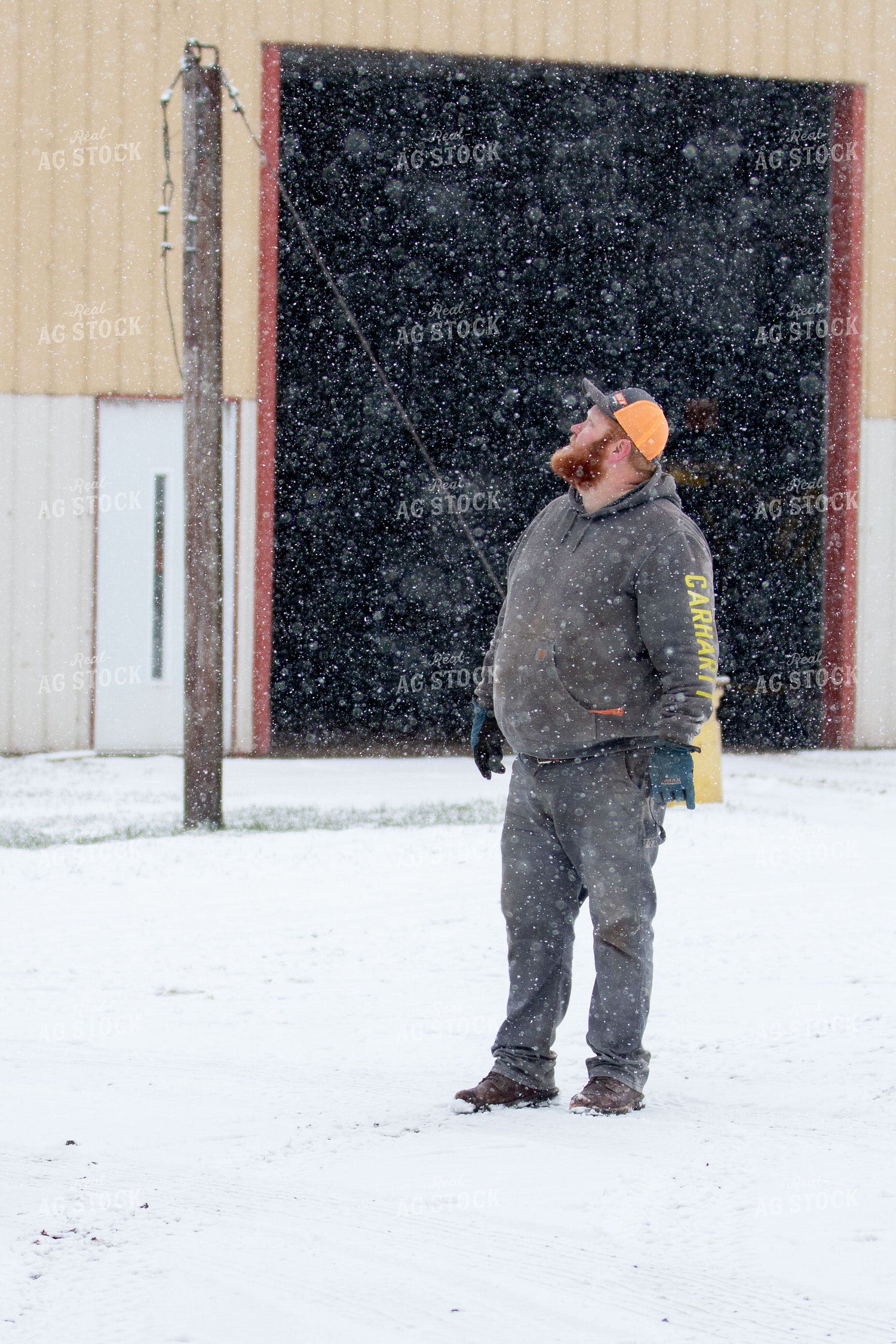 Farmer in Snow 157076