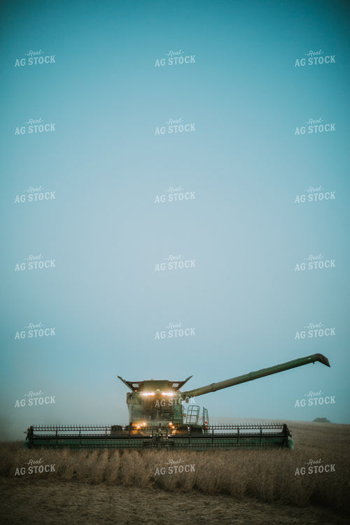 Soybean Harvest 6784