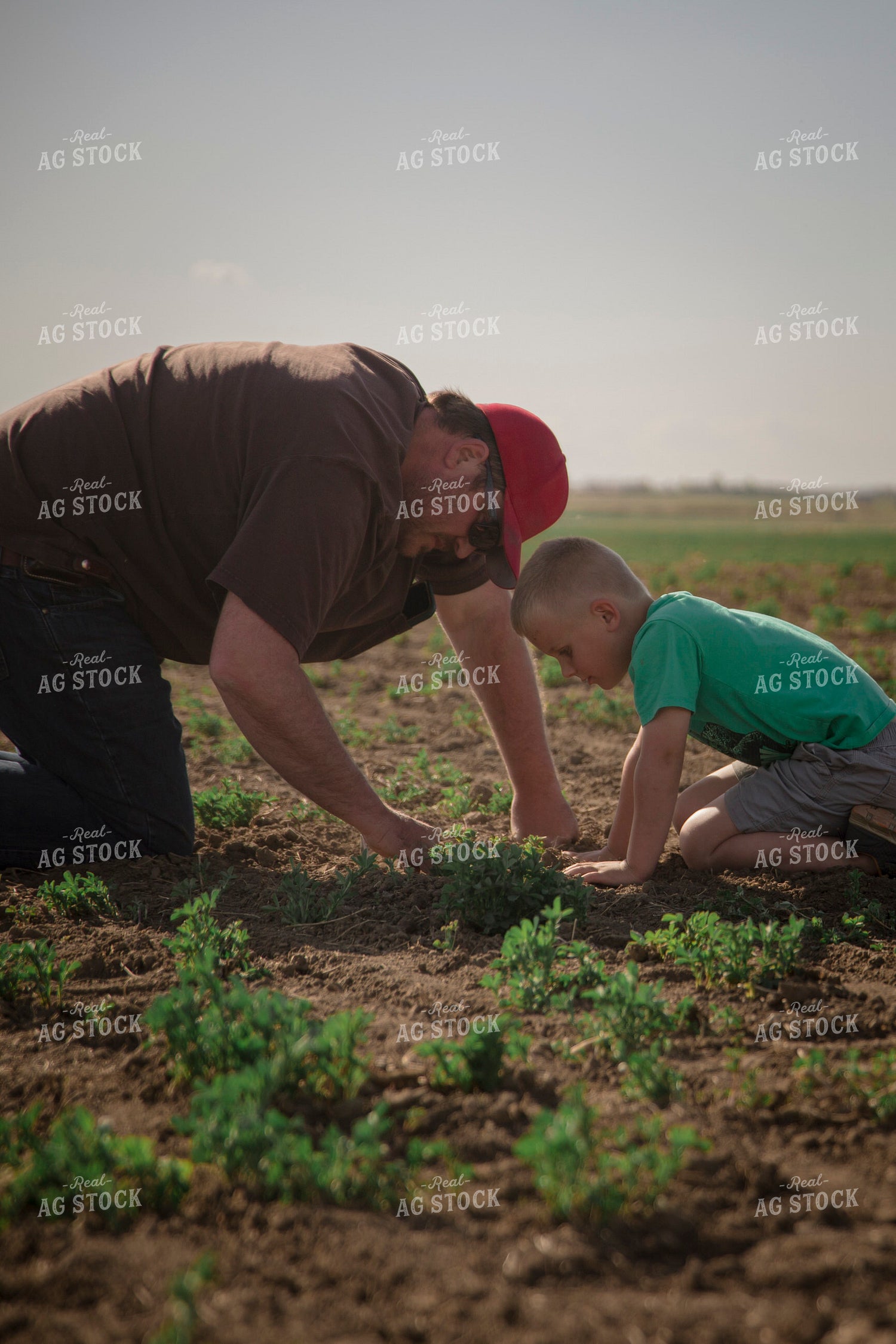Farmer and Farm Kid Checking Crops 135024
