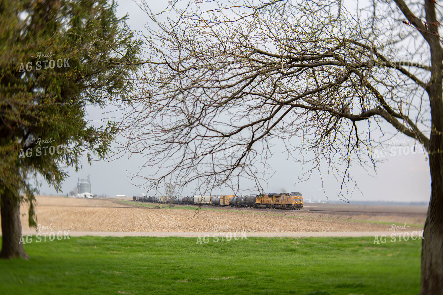 Rural 2014