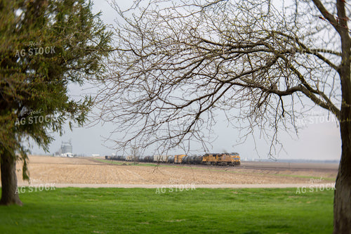 Rural 2014