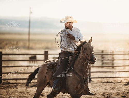 Rancher Roping on Horseback 54004