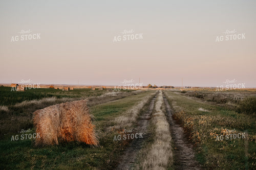 Hay Bale Along Road 64039