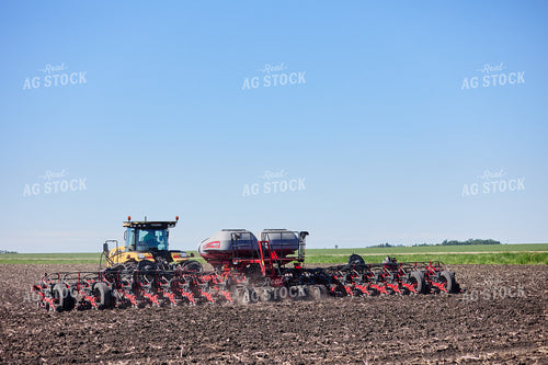 Planting 216011