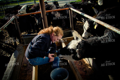 Female Farmer with Cattle 181010