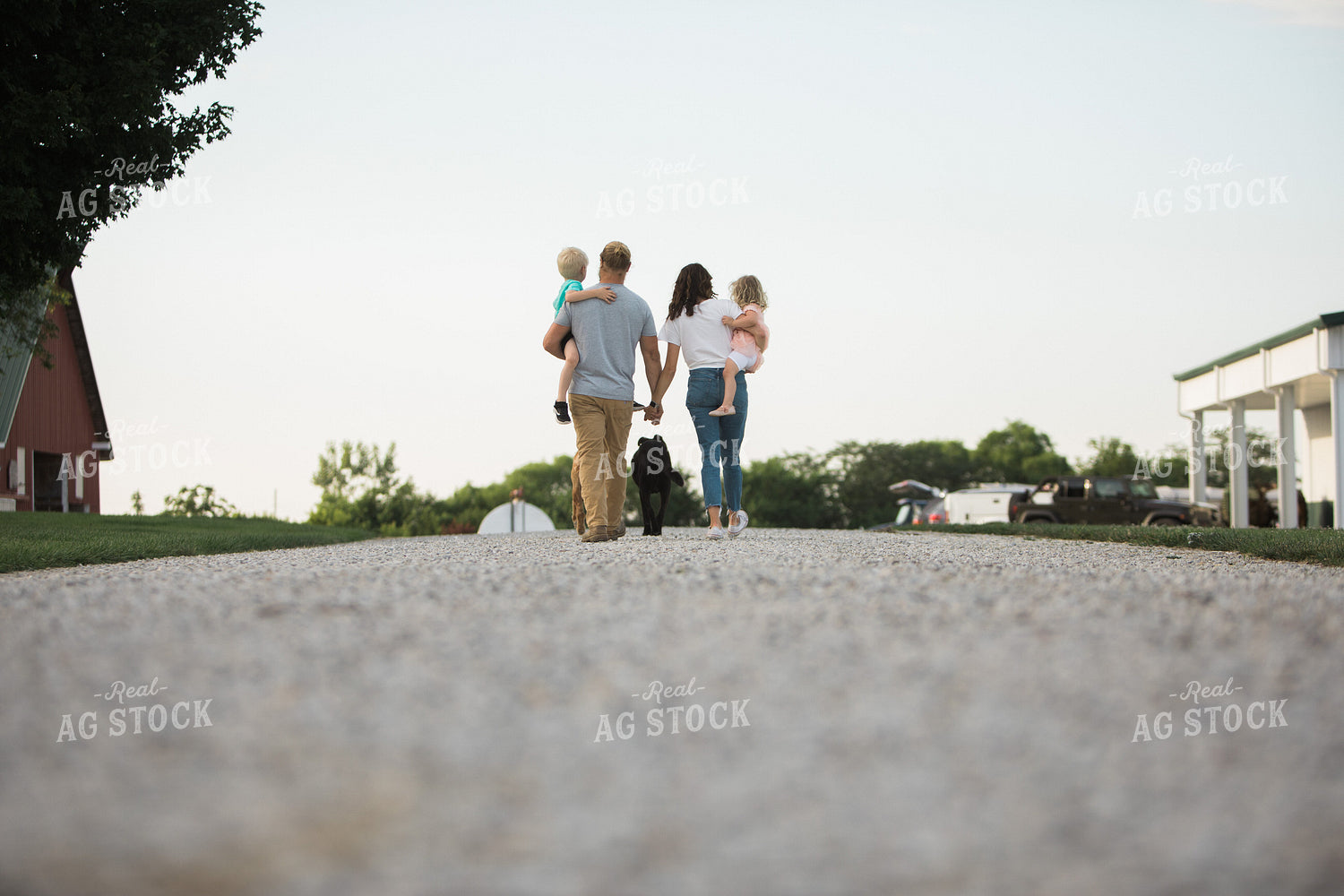 Farm Family 5951