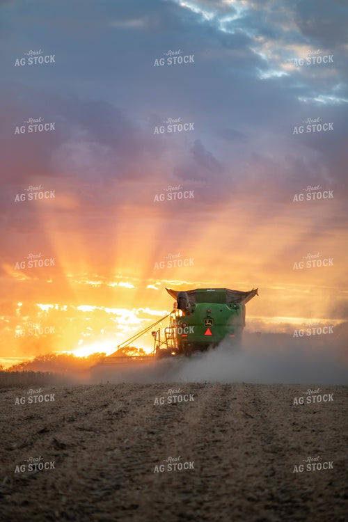 Soybean Harvest at Dusk 76265