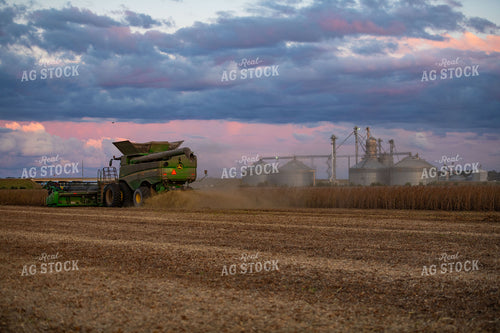 Soybean Harvest 136233