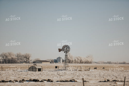 Snowy Pasture and Field 68001