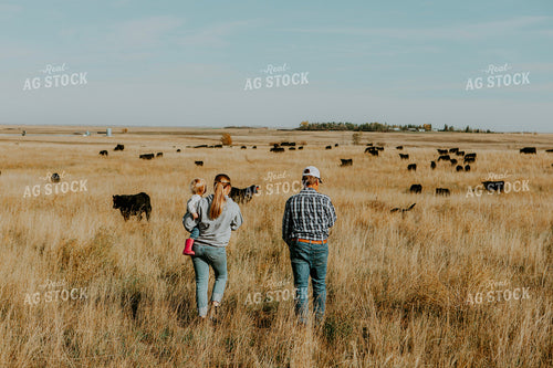 Ranch Family Checks Cows 187066
