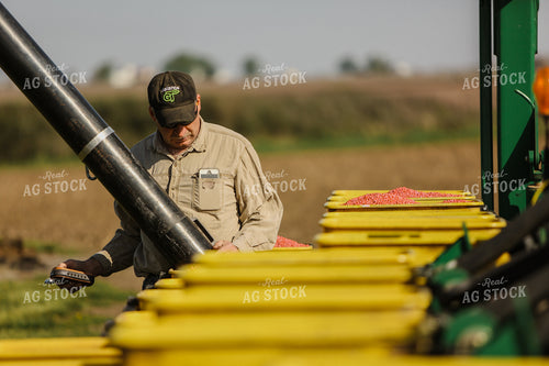Planting 2878