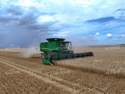 Wheat Harvest 239287