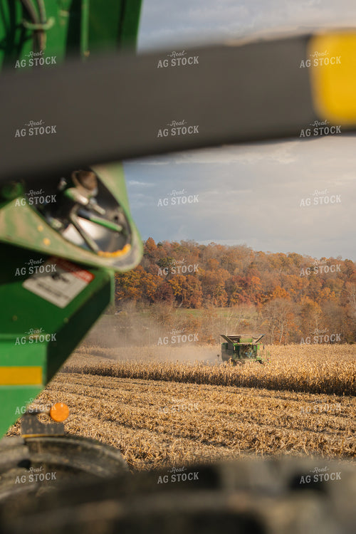 Corn Harvest 52794