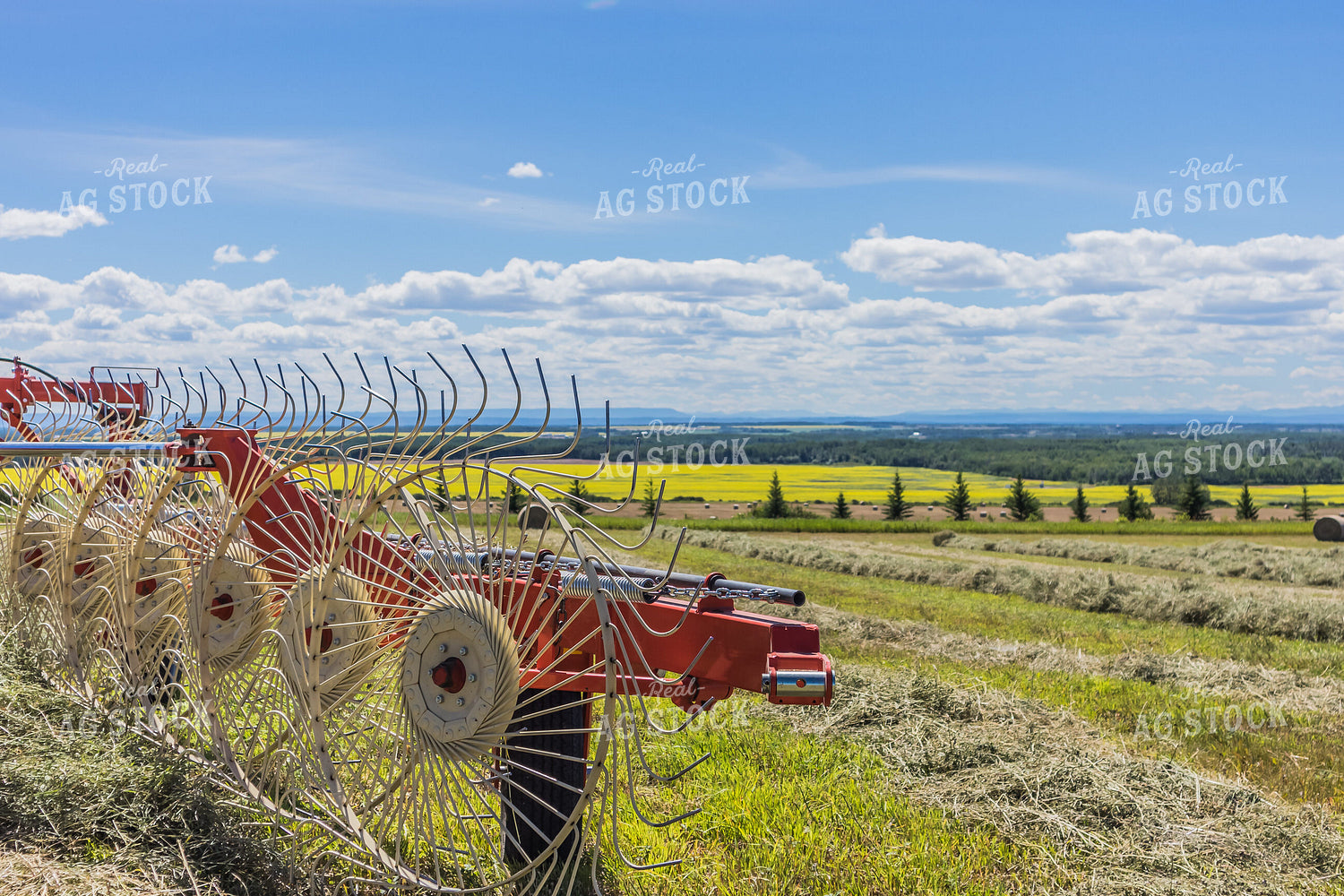 Hay Rake 138160