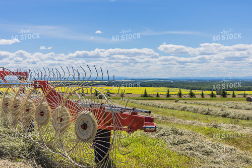 Hay Rake 138160