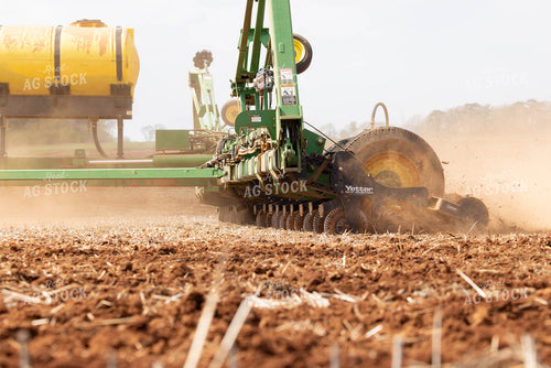Planting 79579