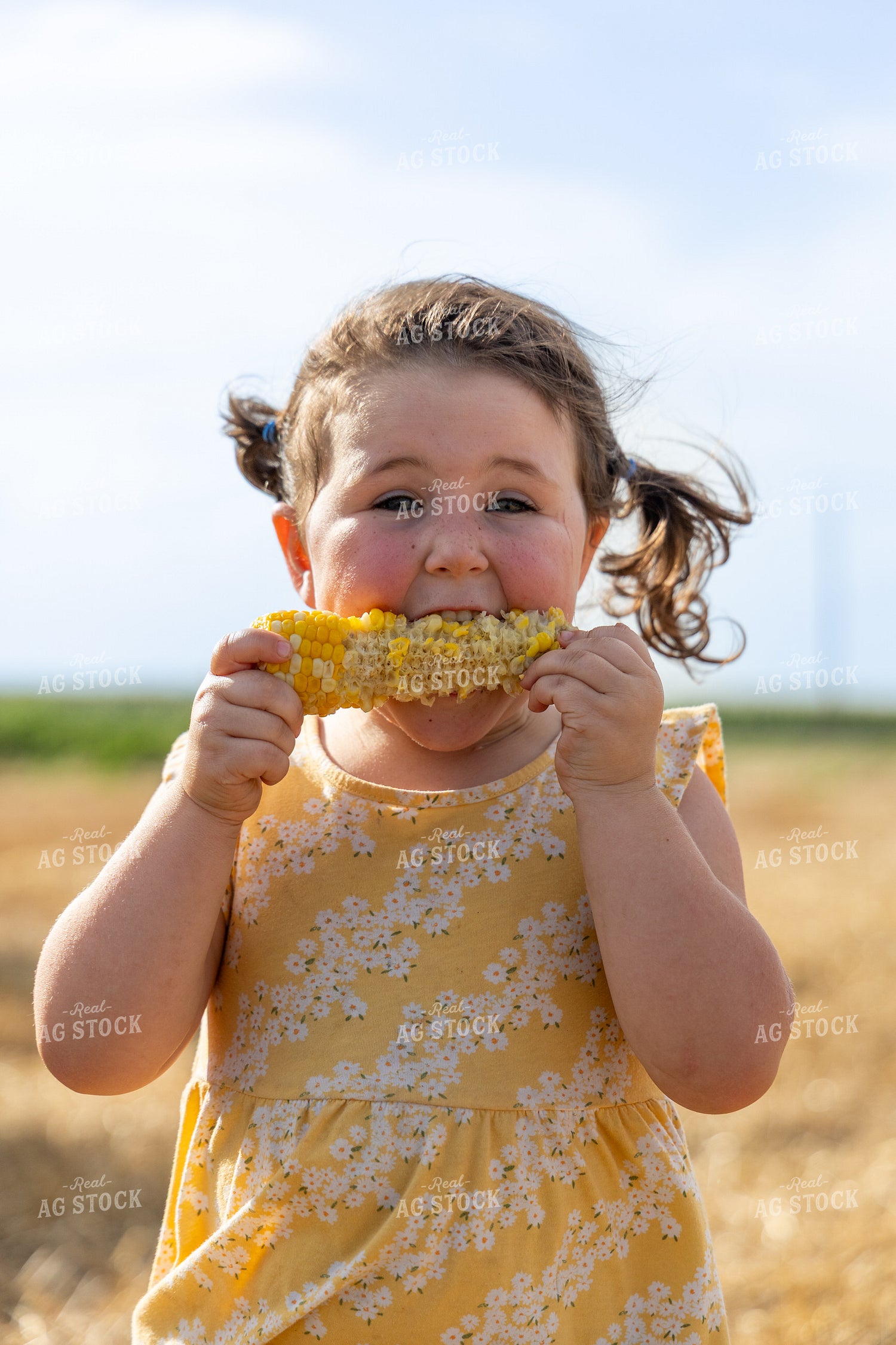 Farm Kid Eating Corn on the Cob 71067