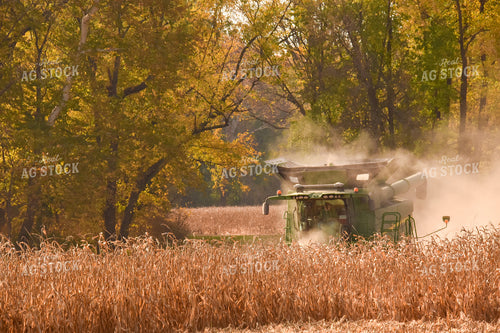 Corn Harvest 84141