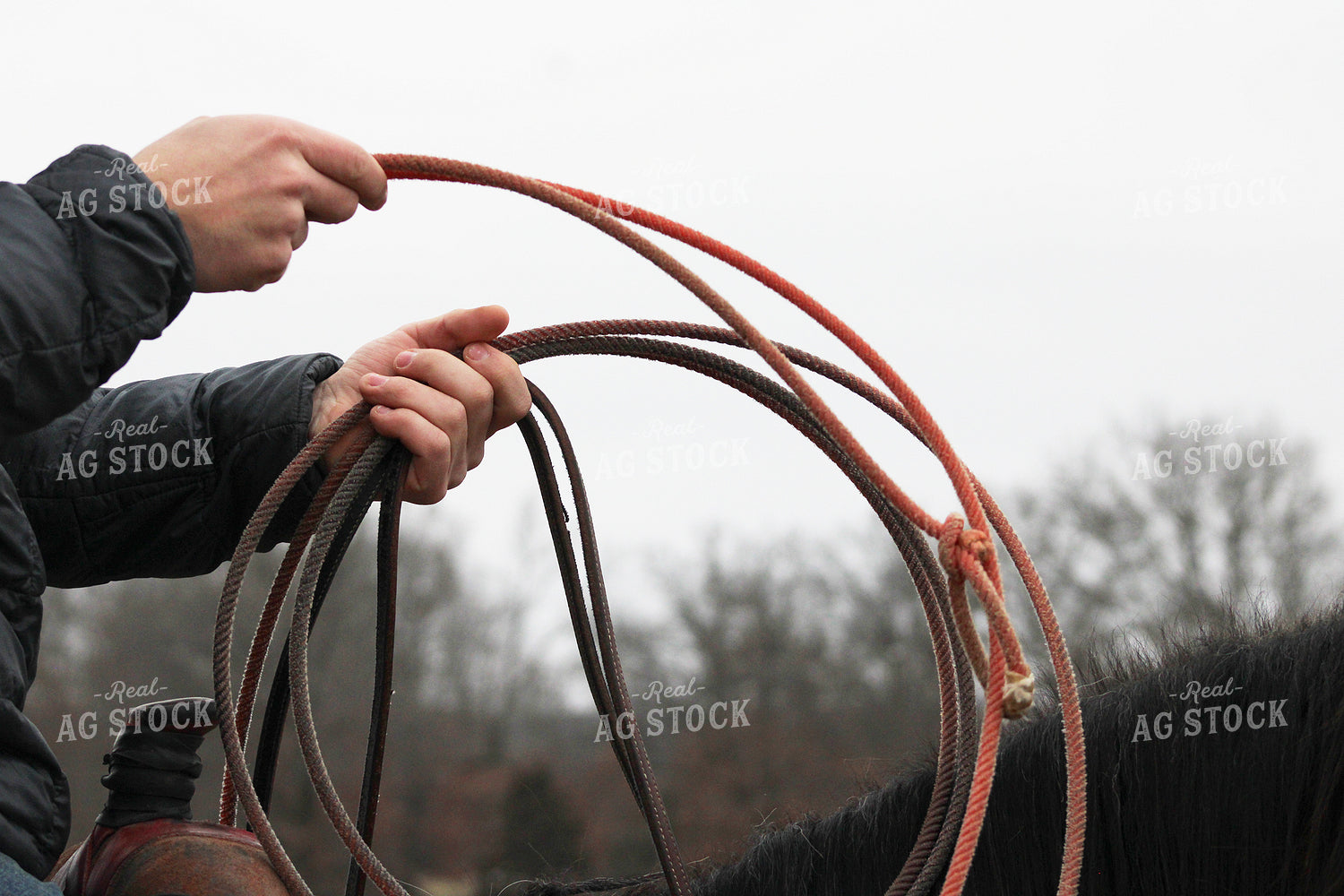 Roping 182003