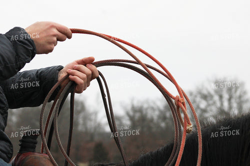 Roping 182003