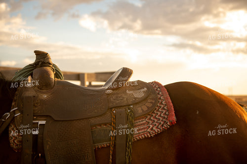 Horse Saddle 212027