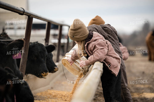Farm Kids Feeding Cattle 219004