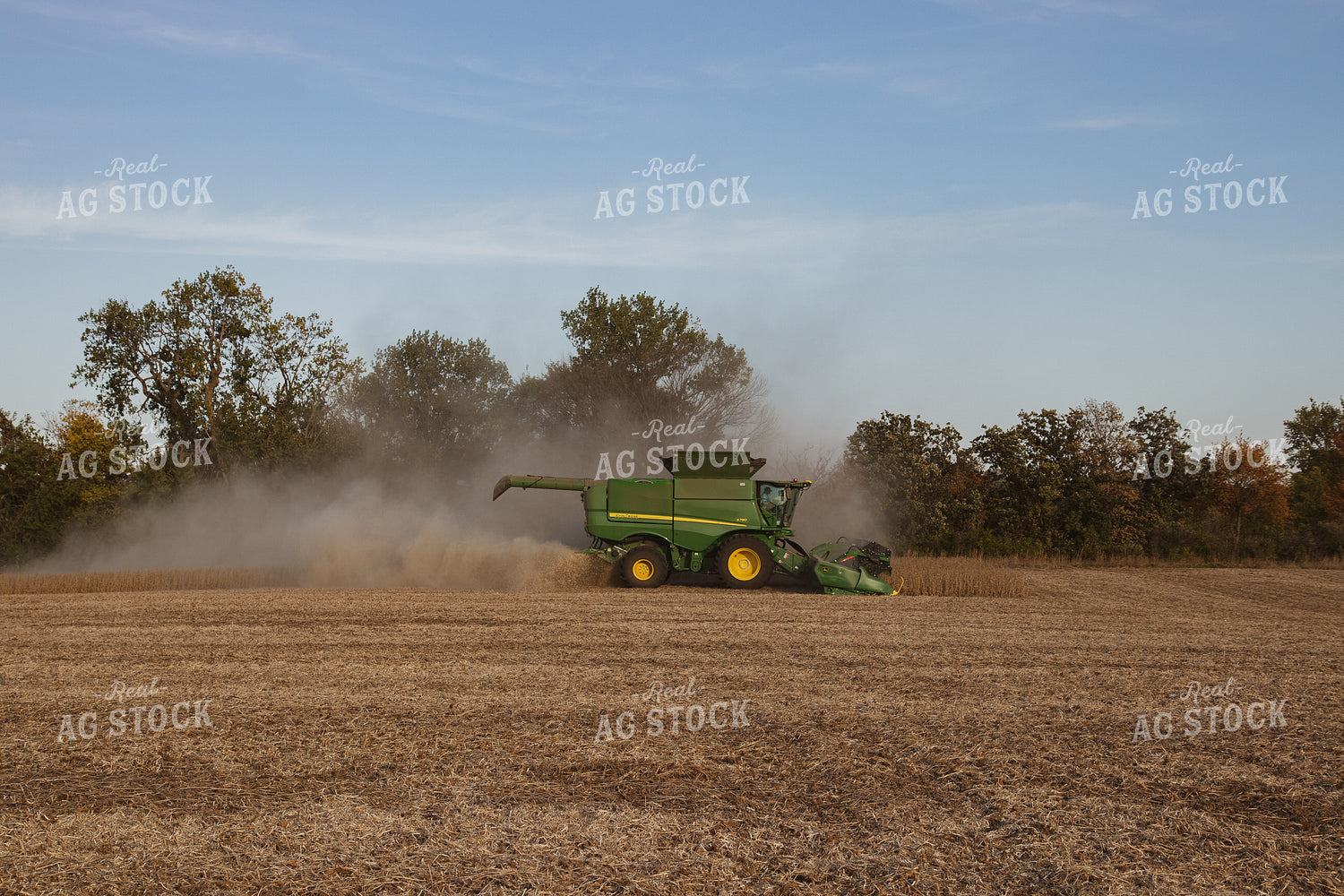 Soybean Harvest 67266