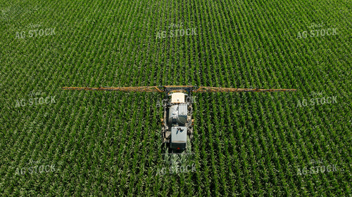 Spraying Corn 274066