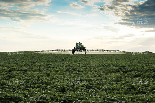 Spraying Soybeans 72002