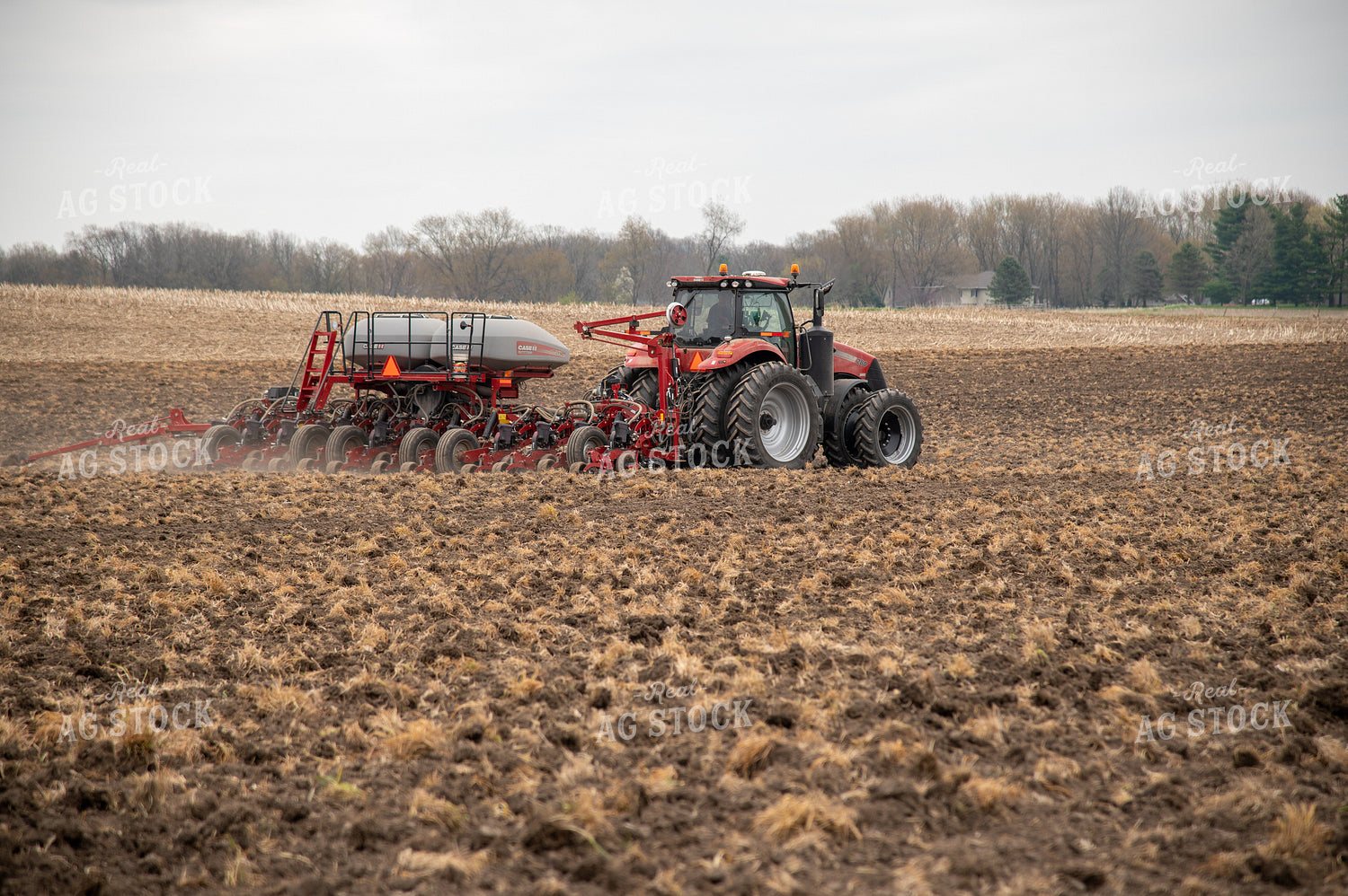 Planting into Tilled Cover Crops 25119