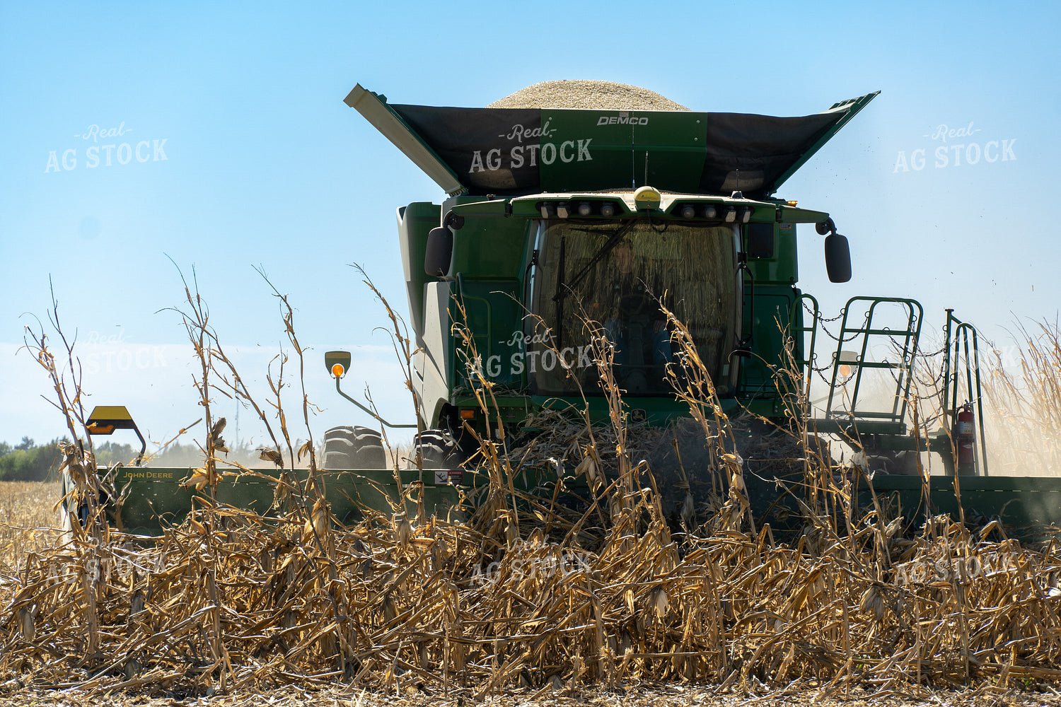 Harvesting Downed Corn 65127