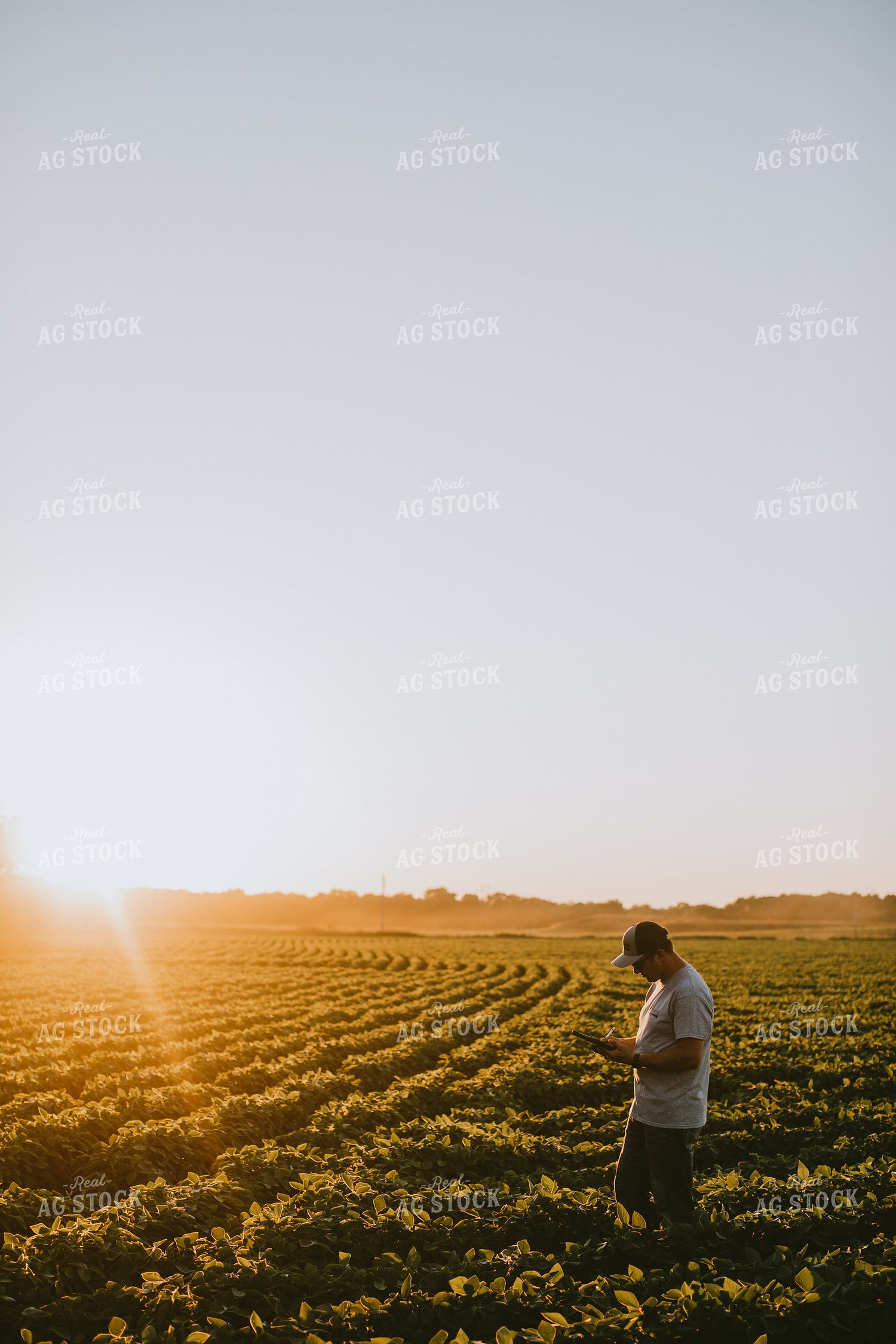 Farmer in Soybean Field with Tablet 6150