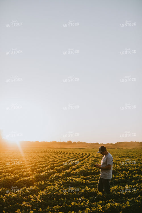 Farmer in Soybean Field with Tablet 6150