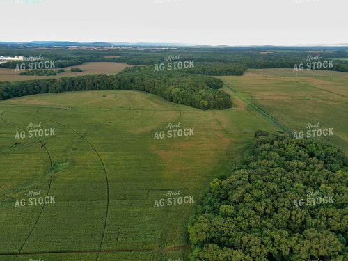 Aerial View of Farmland 79147