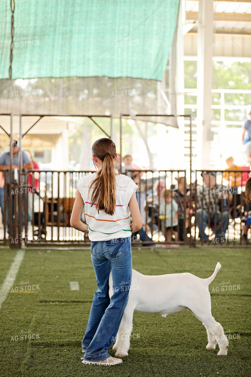 Goat Show 127133