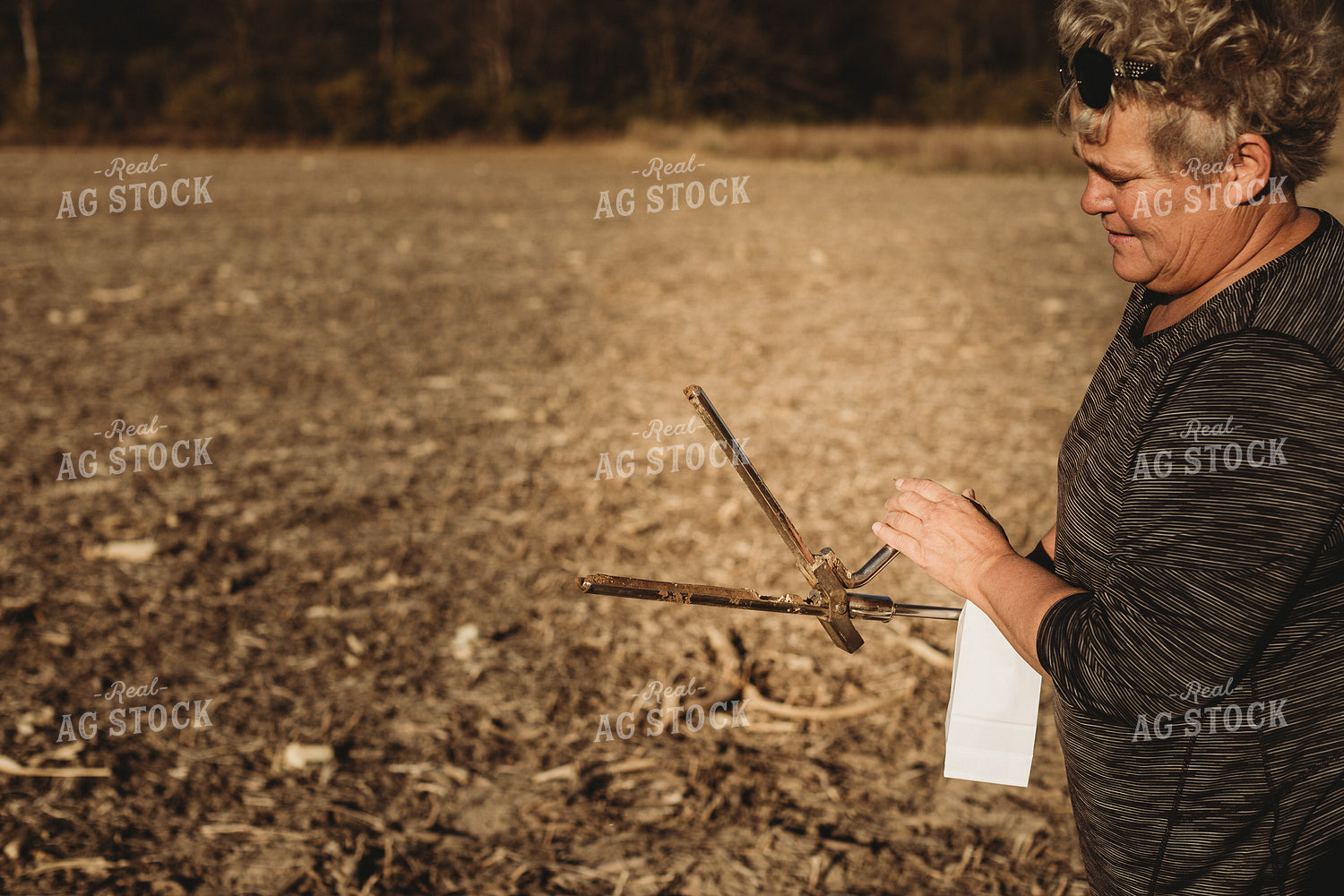 Soil Core in Soil Probe 3733