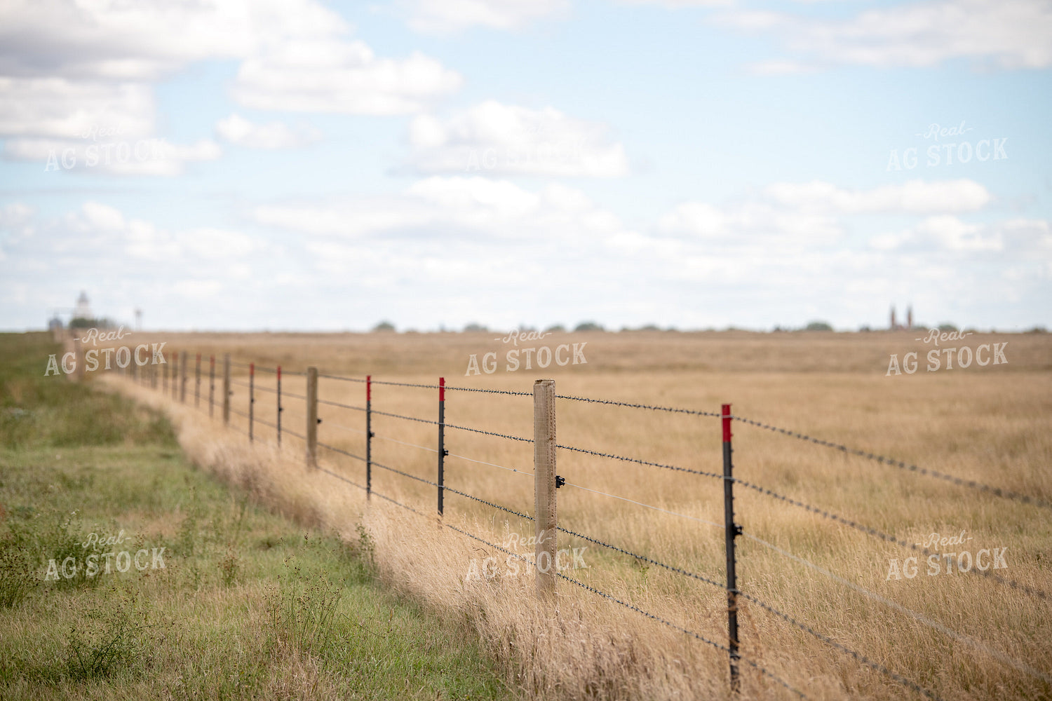Barbed Wire Fence 212074