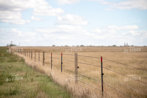 Barbed Wire Fence 212074