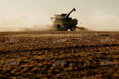Soybean Harvest 9242